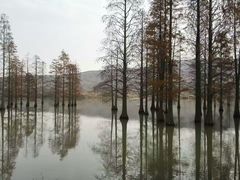 -北极阁公园