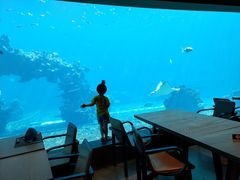 -海棠湾洲际-涛·海底餐厅·美人鱼·自助餐·海底隧道