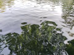 -晓港公园