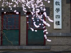 -山东大学(趵突泉校区)