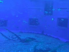 -前王院•巧克力海鲜市集餐厅(万平口店)