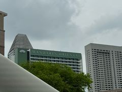 -新加坡文华东方酒店