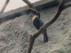 -武汉动物园