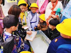 -杨梅红艺术教育(凤城教学中心)