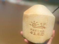 -汕头中海黄金海岸水上乐园
