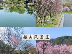-杭州植物园