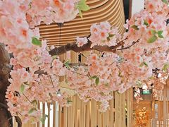 -松子料理(华威桥店)