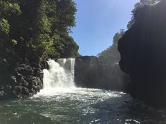 -塞尔夫岛
