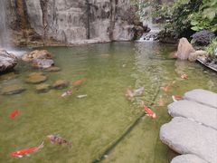 -广州花园酒店