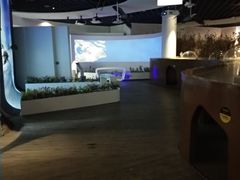 -上海长江河口科技馆