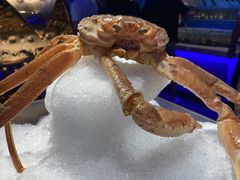 -乔哥铭洋海鲜自助(皇城恒隆广场店)