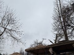 -桃源山庄·水蜜桃采摘·柴火鸡·烧烤团建(龙泉山店)