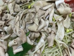 -牛恒濑粉