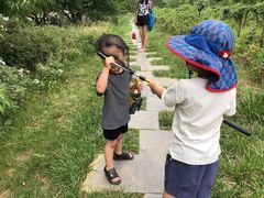 -淇河金沙滩