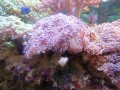 -海南热带海洋学院(三亚校区)