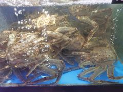 -蟹之国·精品蟹料理(极地店)