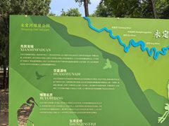-绿堤公园