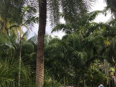 -东芭乐园
