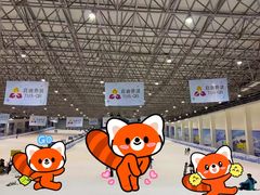 -绍兴启迪乔波冰雪世界