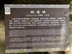 -华蓥山天意谷景区