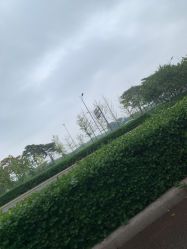 -HEYAN长风荷妍专业脱毛美肤
