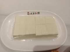 -火胖子肥肠煲·始于1998(南山村店)