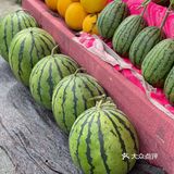 今年夏天最好吃的西瓜🍉｜庞各庄买西瓜🍉新发现