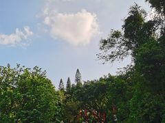 -广州市白云山风景名胜区