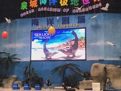 -泉城欧乐堡海洋极地世界
