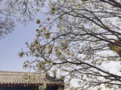 -大钟寺古钟博物馆