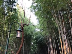 -杭州黄龙洞