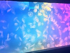 -左海海底世界