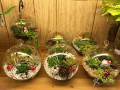 android_upload_pic-妃比花艺(光启城时尚购物中心店)