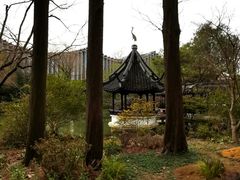 -上海醉白池公园