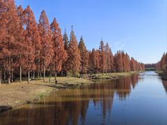 -黄海国家森林公园