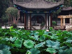 -莲湖公园