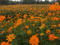 -艾溪湖湿地公园