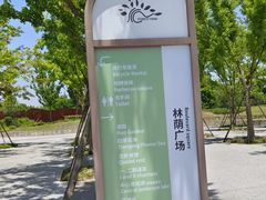 -上海滨江森林公园