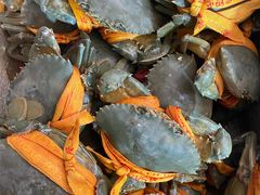 -众彩物流水产市场