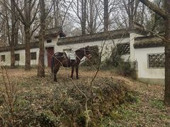 -西湖风景区十里琅珰-五云山