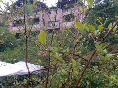 -浙江安吉JW万豪酒店·万豪中餐厅