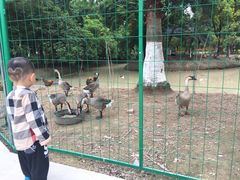 -广东花都香草世界旅游度假区