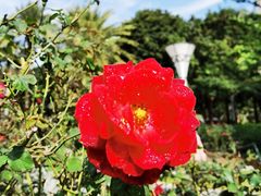 -文华公园(禅城区)