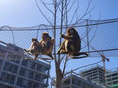 -杭州野生动物世界