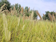 -汉长安城未央宫国家考古遗址公园