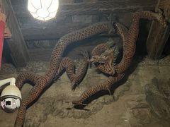 -张掖大佛寺景区