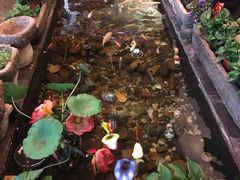 景观位-有梦特色餐厅(古子城店)