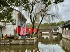 -鲁镇