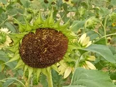 -艾溪湖湿地公园