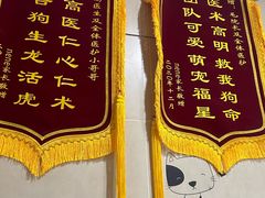 -谐和益家动物医院·免疫绝育·血液透析·宠保定点医院(高新伊藤分院)